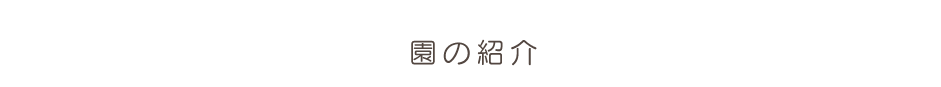 園の紹介