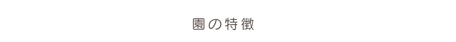 保育園の1日